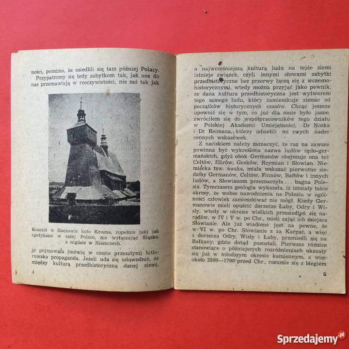 1121 Zabytki Odrą i Ujściu Wisły 1945 r Szczecin sprzedam