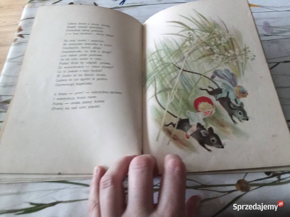 PRL książka Konopnicka Na jagody 1969 Łódź