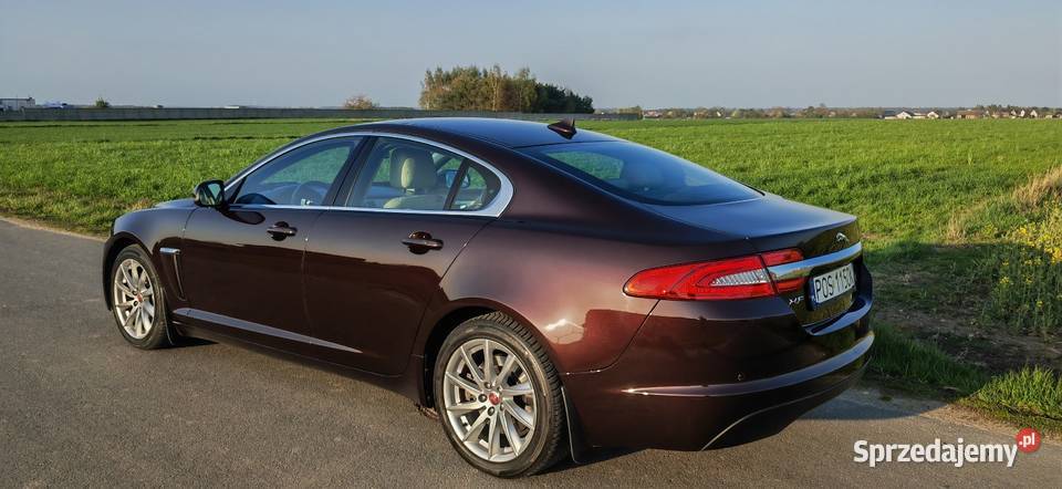 Jaguar XF 22 Diesel Ostrów Wielkopolski