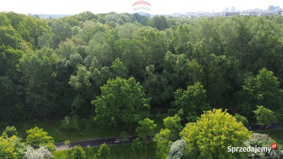 Na sprzedaż 50 udziałów działka Sołacz