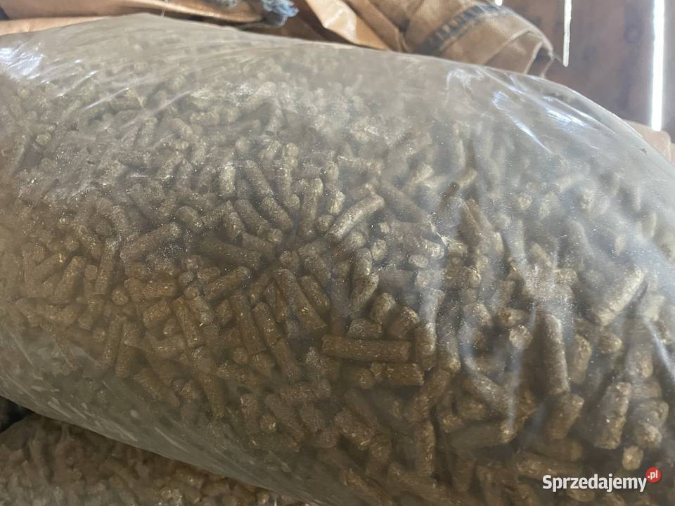 Pellet Włocławek