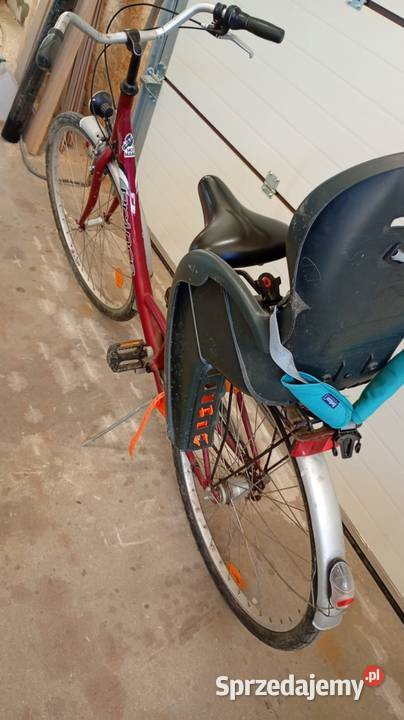 Rower damka 26