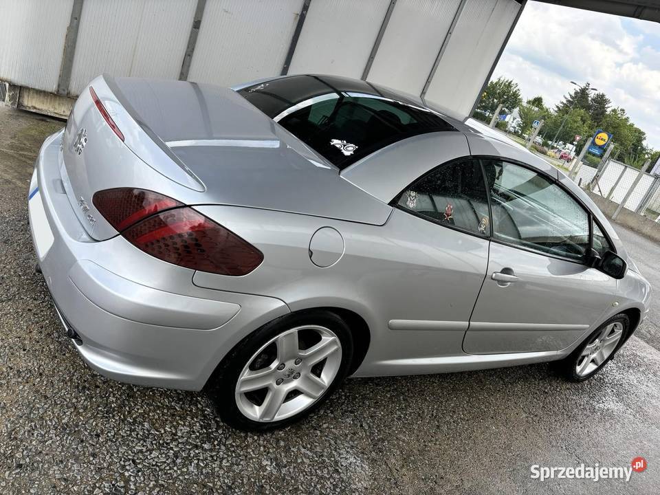 PEUGEOT 307CC CC KLOSZE TYLNYCH LAMP PRAWY LEWY Międzybórz