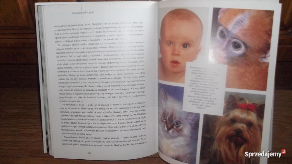 Zwierzę zwane człowiekiem Morris