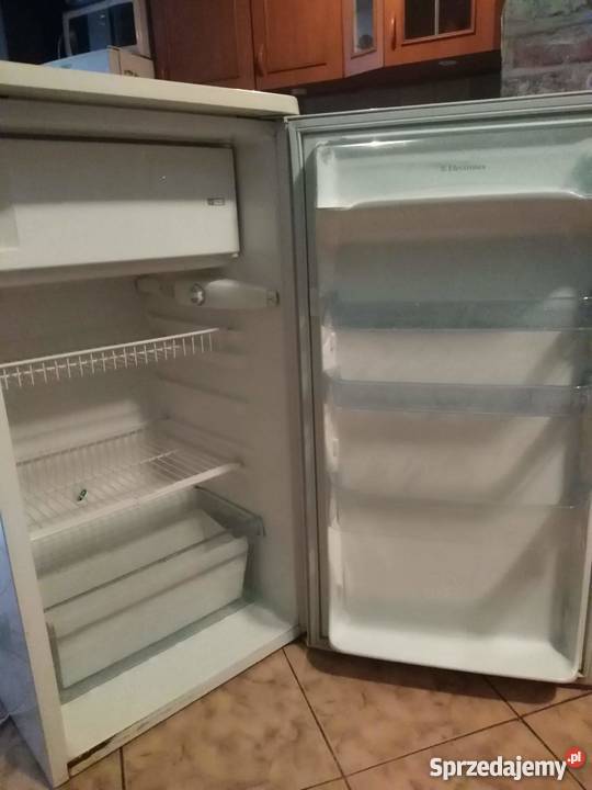 Lodowka Dom i Ogród Puławy