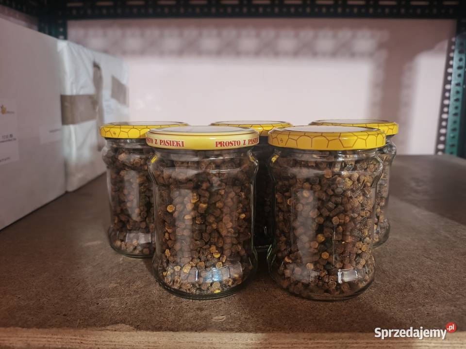 Pierzga Pszczela 300g zbiór 2026 Pyłek pszeczeli