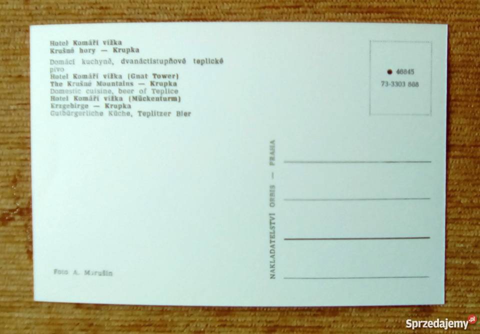 WNĘTRZE HOTELU KOMARI VIZKA W MIEJSCOWOŚCI Piszczac