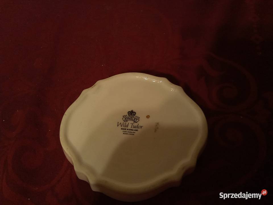Aynsley wild tudor mazowieckie