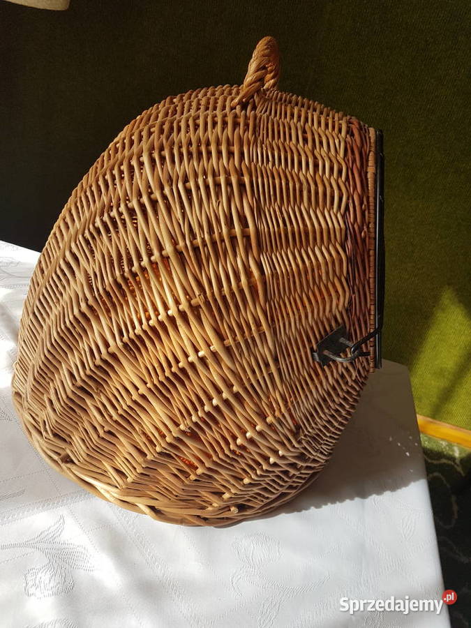 Transporter kota Pozostałe Tarnowskie Góry