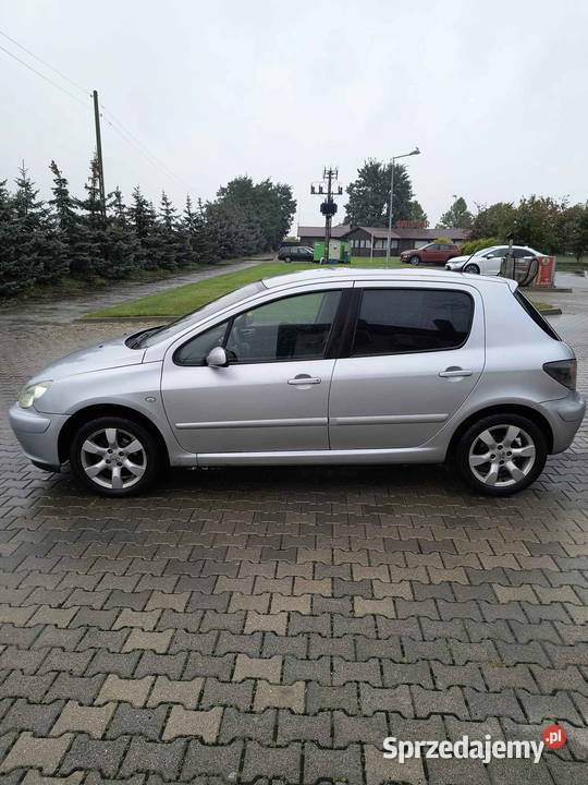 Peugeot 307 niski przebieg wspomaganie kierownicy 307 Kalisz