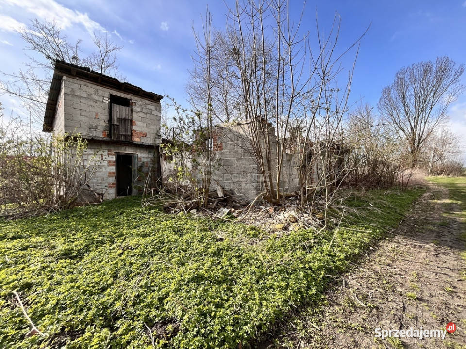 Działka 025 ha z mediamicisza zieleń potencjał lubelskie Horyszów-Stara Kolonia