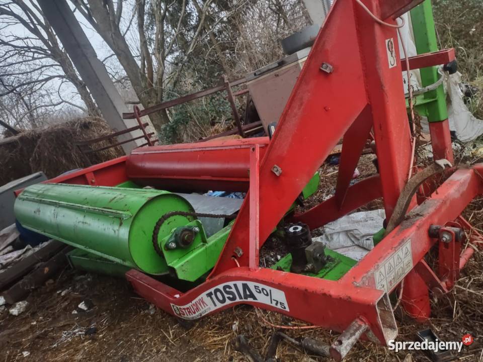 Owijarka do bele Tosia 50 75 małopolskie Chojnik