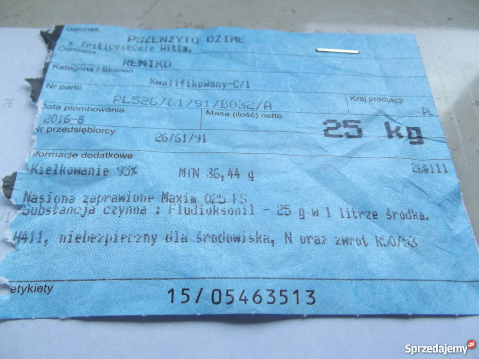 Pszenżyto REMIKO centrali Masłów Drugi