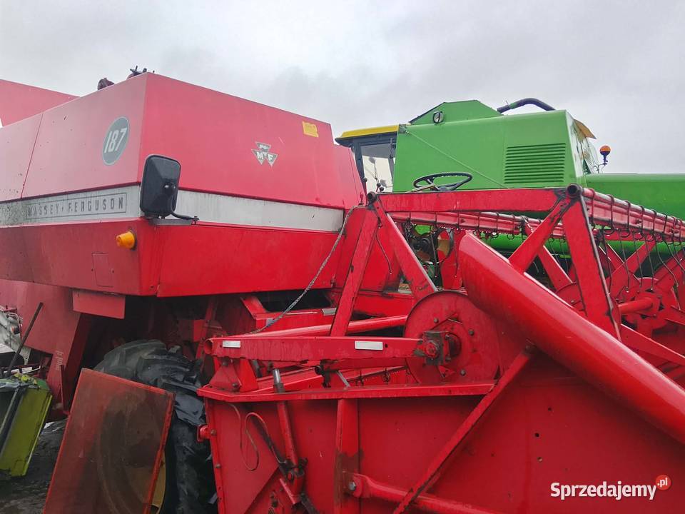 Kombajn zbożowy Massey Ferguson 187 z Skaryszew