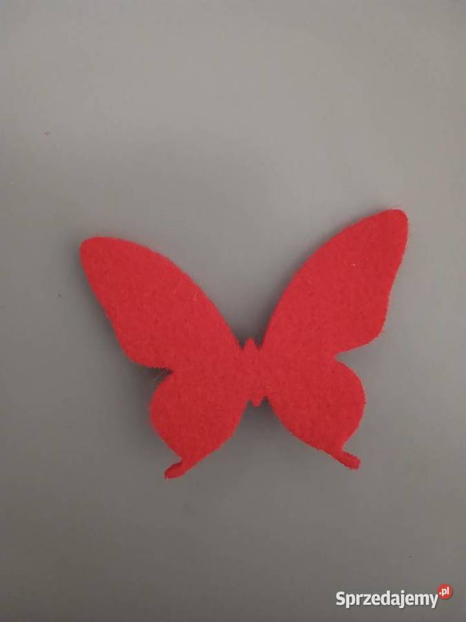 Przypinka broszka motyl Tychy sprzedam