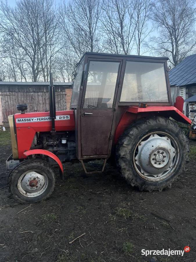 Massey Ferguson 255 Massey Ferguson Gruszka Mała Druga