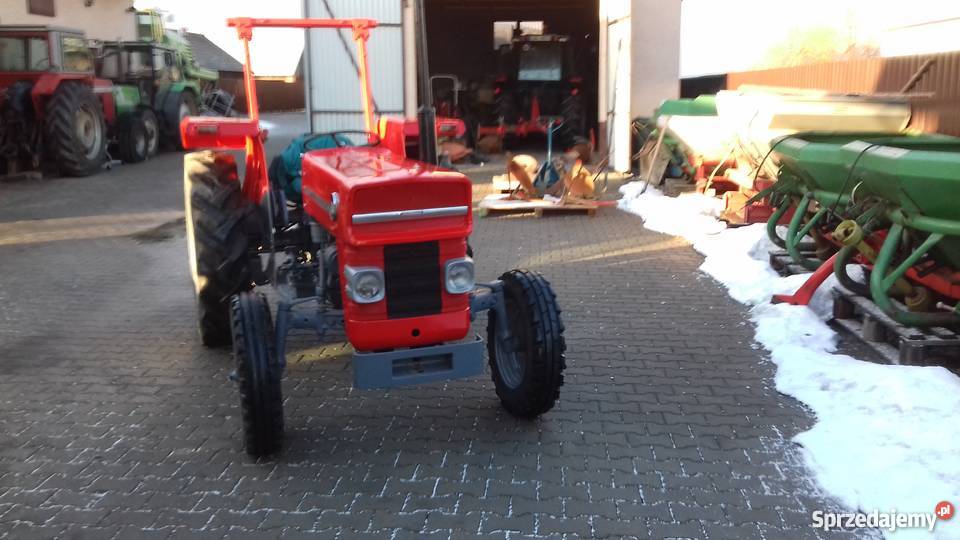 traktor MASSEY FERGUSON 135 lubelskie Aleksandrów