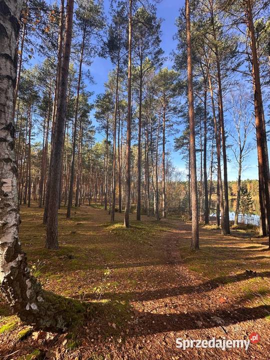 Działka budowlana kolorowe jeziorka Nieruchomości Chełmica