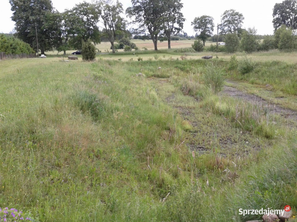 KASZUBY DZIAŁKA UZBROJONA WARUNKI ZABUDOWY