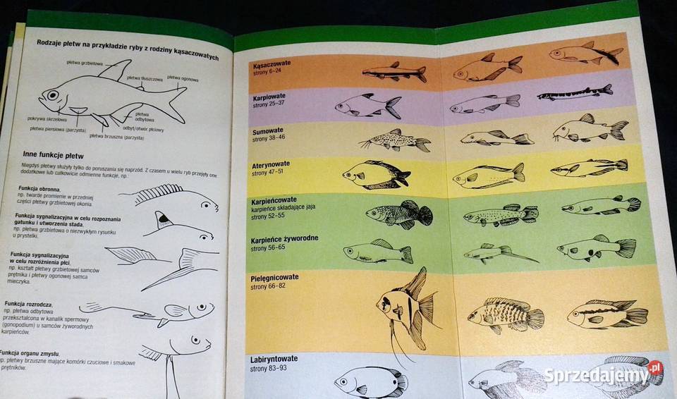 Ryby akwariowe Rozpoznawanie i utrzymanie Thomas miękka Chełm