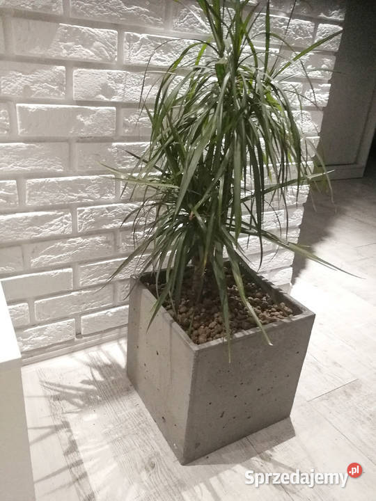 Donica betonowa 40x40x40 donice z betonu Rawicz sprzedam