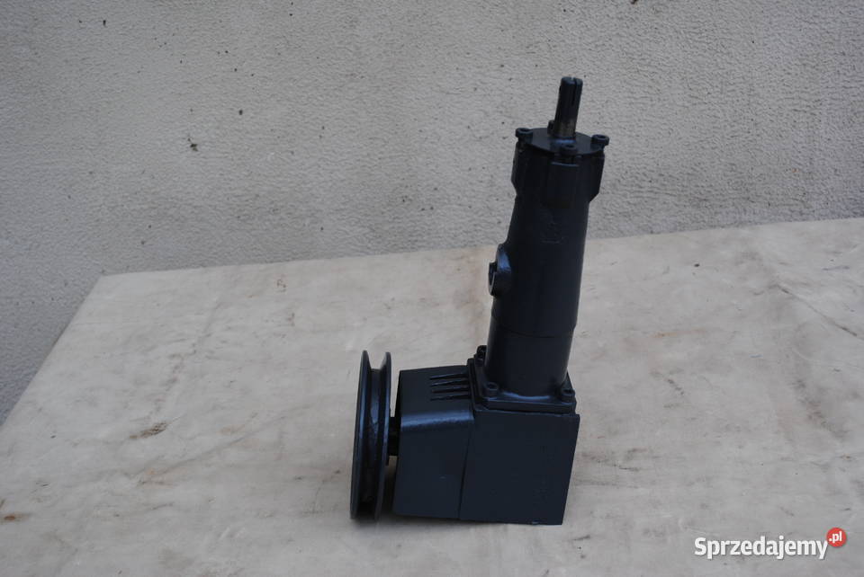 Wyrzynarka pionowa taśmowa włosowa mimośród Błonie