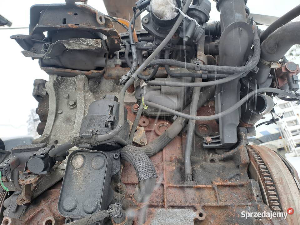 Ford Fokus C Kuga Volvo 20 TDCi 136 silnik śląskie Jastrzębie-Zdrój