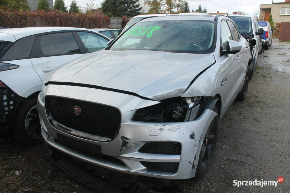 Jaguar FPACE Ostrów Wielkopolski