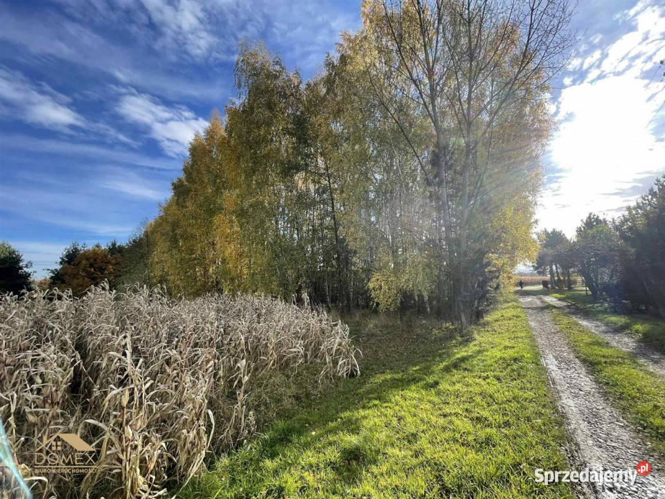 Ogłoszenie działka 1089m2 Kończyce Małe Sprzedaż sprzedam