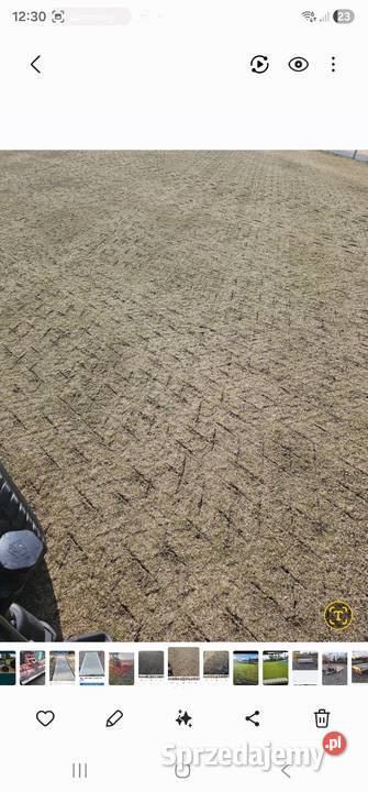 Aerator Ryan 170 Sosnowa