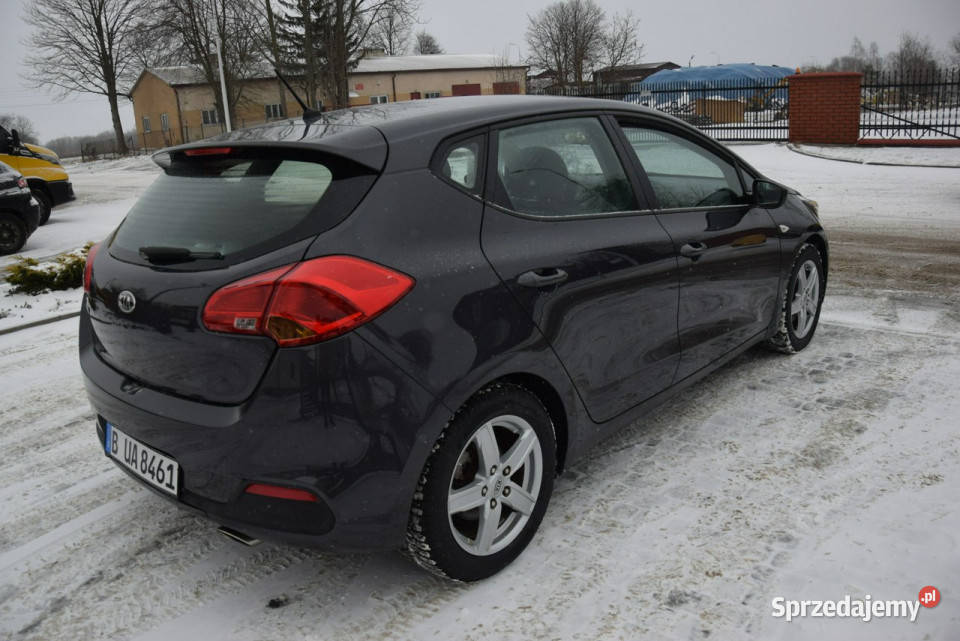 Kia Ceed 14B 2014r 107 Oryginał Lakier 2 KPL KÓŁ