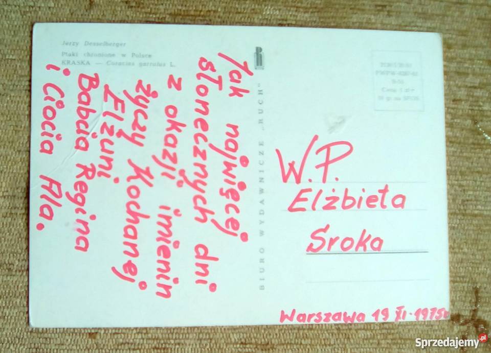 KRASKA ŚREDNIEJ WIELKOŚCI PTAK WĘDROWNY NAZYWANY Piszczac