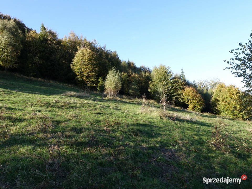 Brenna 253 ha działka inwestycyjna wyciągu 25300m2