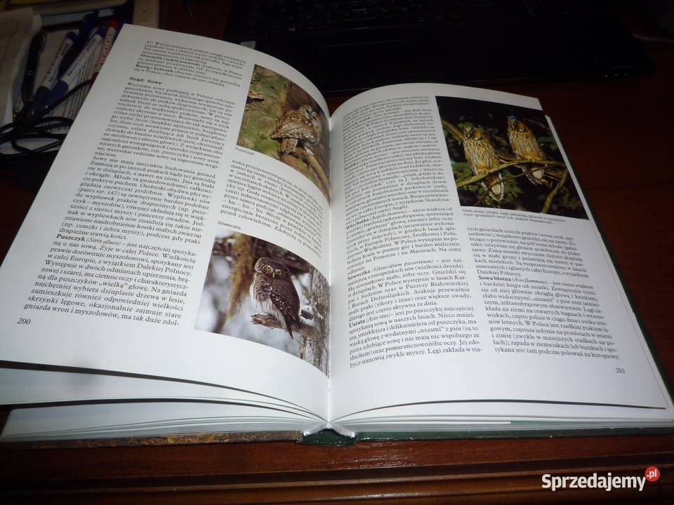 łowiectwo fritz nublein Lutowiska