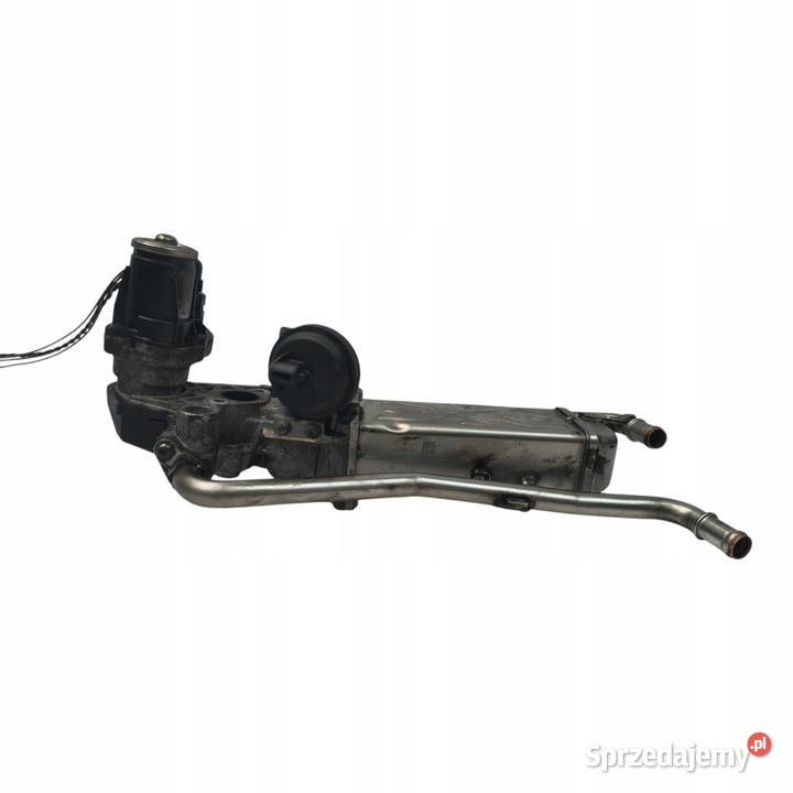 CHŁODNICA SPALIN VW Polo V 12 TDI egr 03P131512D Chełm