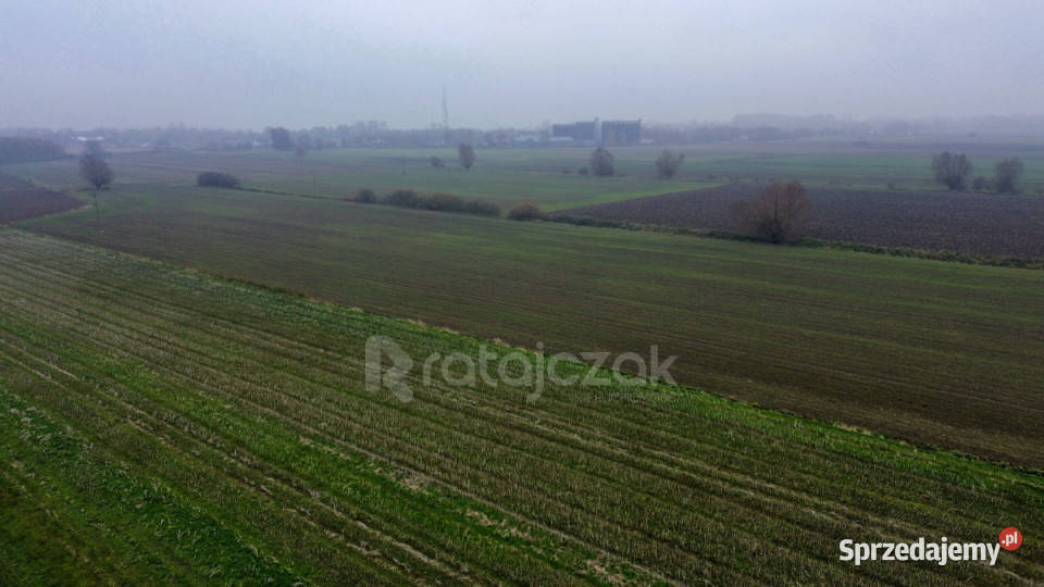 Grunt Drewnica Wierzbowa 3012m2 sprzedam