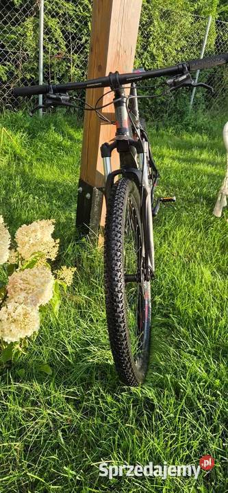 Focus Whistler 29R Sport Series rozmiar L MTB 29 Górskie, MTB Jedwabno