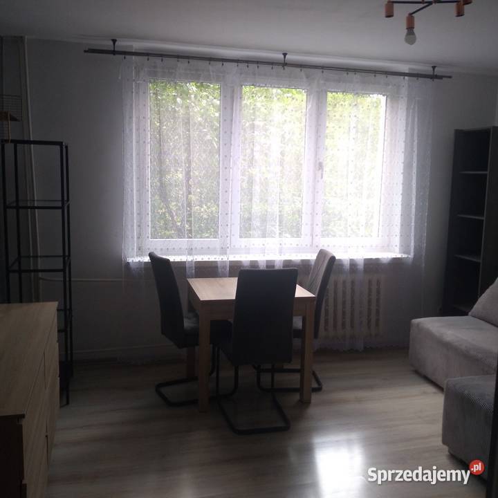 mieszkanie na wynajm na umowe okazjonalną