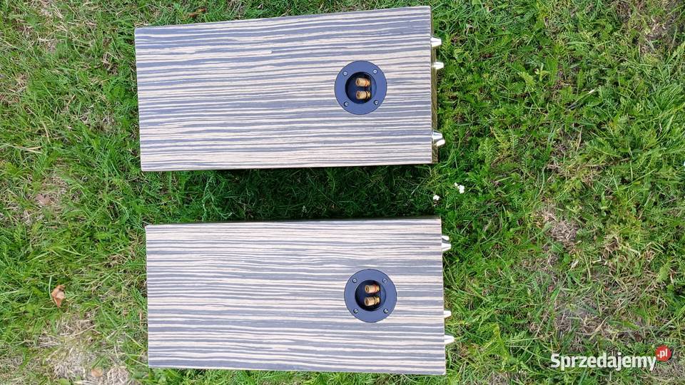 Obudowa głośnikowa DIY klon Łódź