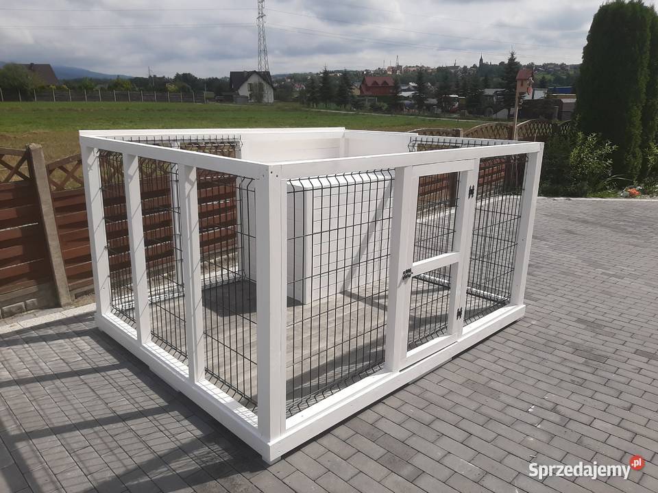Buda psa Kojec Zwierzęta Jordanów sprzedam