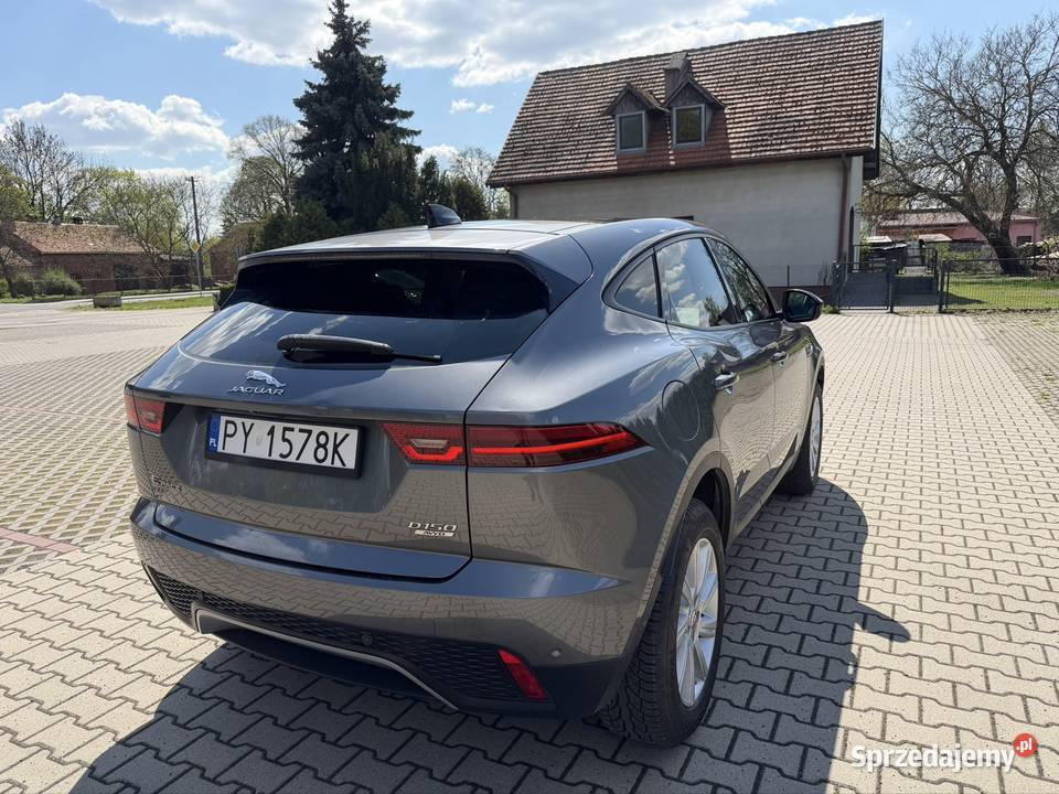 Piękny Jaguar E Pace Pozostałe