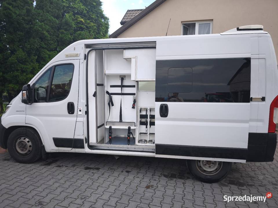 Fiat Ducato Maxi 2018 Ambulanszabudowa kamper Łomża