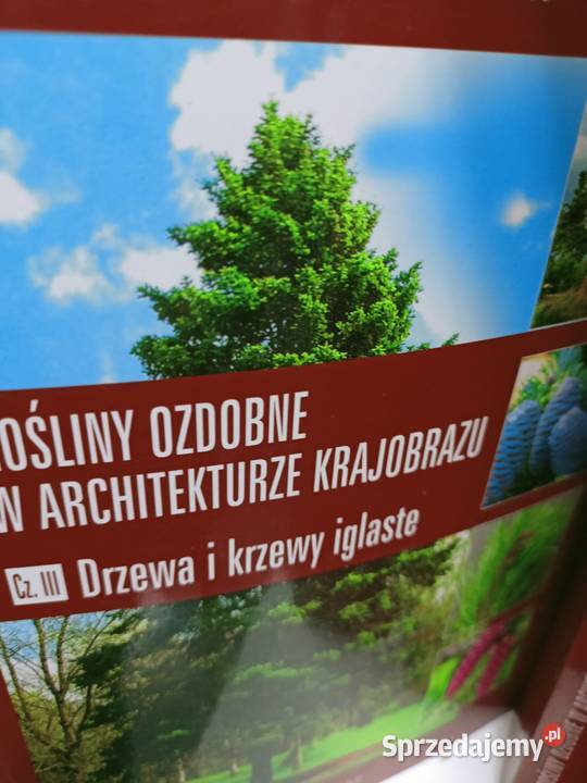 Rośliny ozdobne Hortpress w architekturze