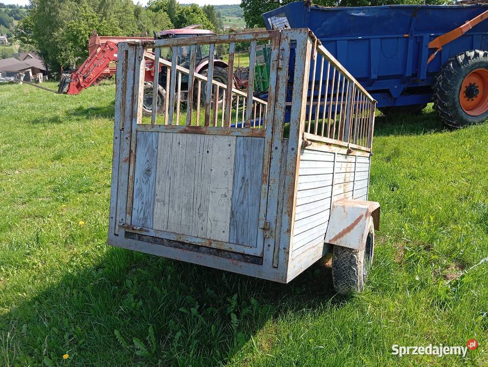 Siewnik do kukurydzy Becker nieuszkodzony Lipnica Górna