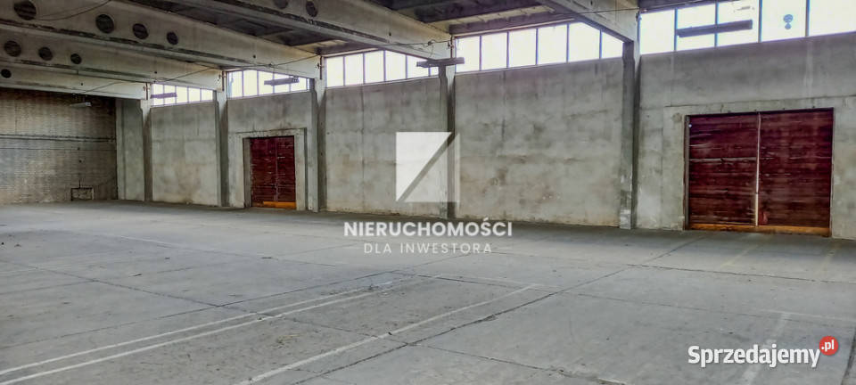 Hala magazynowa 810 m S3 4 bramy rampa Gorzów Wielkopolski