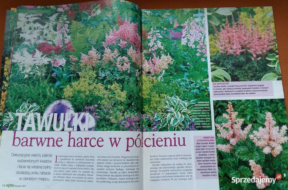 Mój piękny ogród czasopismopraktyczny magazyn Łódź