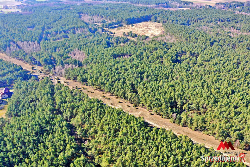 Działkę sprzedam Bobrownickie Pole 12600m2 leśna sprzedam