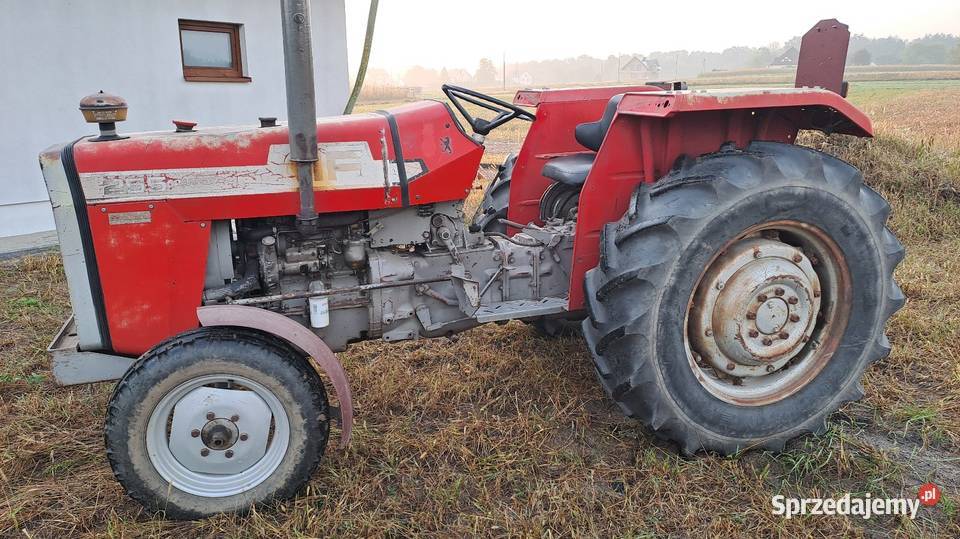 Massey Ferguson 255 Oryginał Anglik Nieczajna Górna
