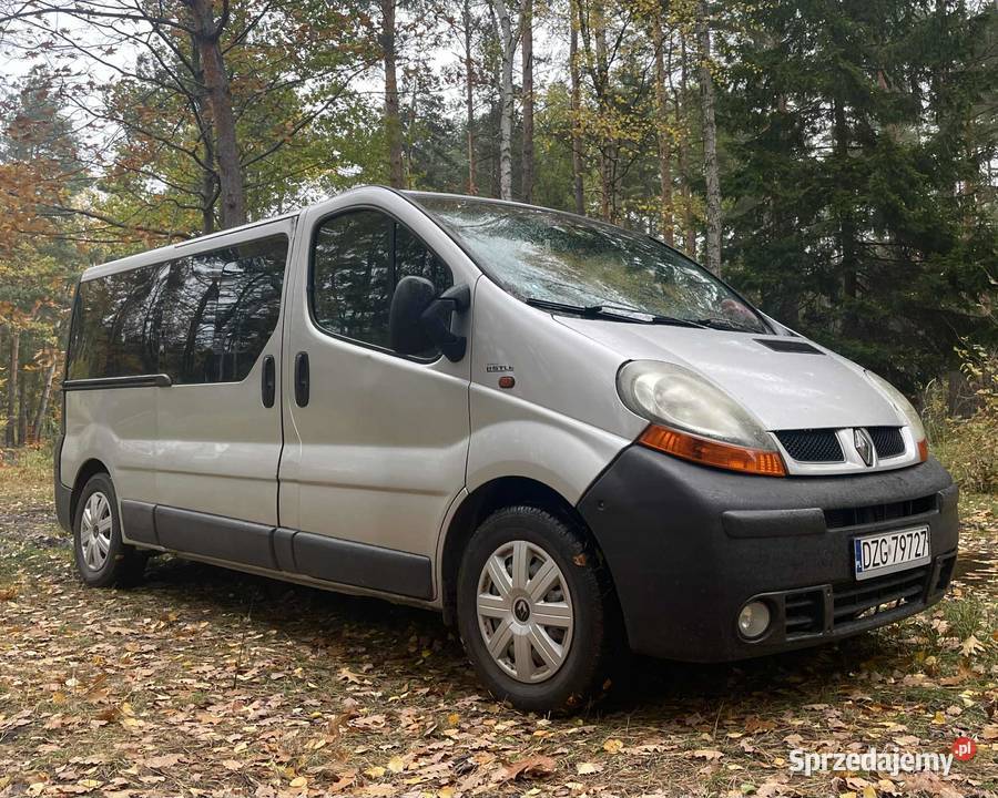 Renault Trafic 25DCI Long hak 9osob Węgliniec