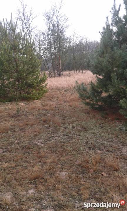 spokojne miejsce woda Arciechówek